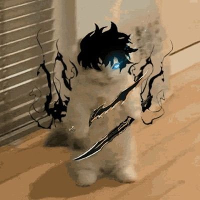 0xRahim_'s profile picture. ____(:) ____
Bug Hunter | Artist | Student