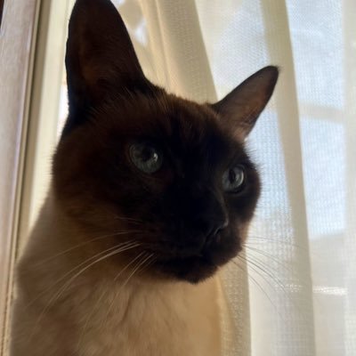 ※喰いさんのプロフィール画像