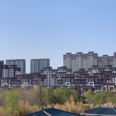 ccAngelk's profile picture. cc