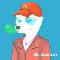 btcguaraiand's profile picture. Envisioning a future where blockchain technology is the norm