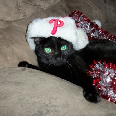 JacksonShamburg's profile picture. Occasional sports fan / Chicago & Philly have my heart