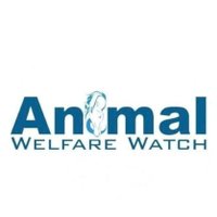 Animal Welfare Watch(@AnimalWelfarewt) 's Twitter Profile Photo