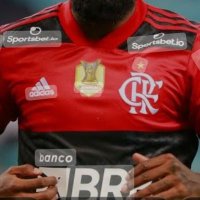 Flamenguista carioca passivo (@danilosilviarj) 's Twitter Profile