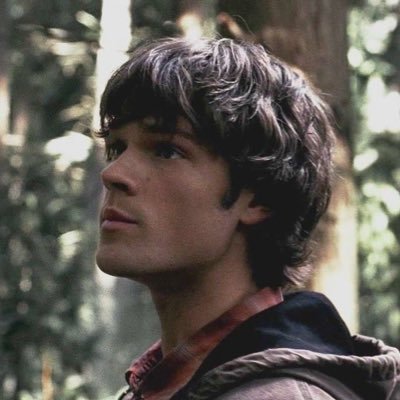 ⋆⁺₊⋆ Sam Winchester • brother to a dumbass • Sam is (28-38) • he/him • more in pinned ⋆⁺₊⋆