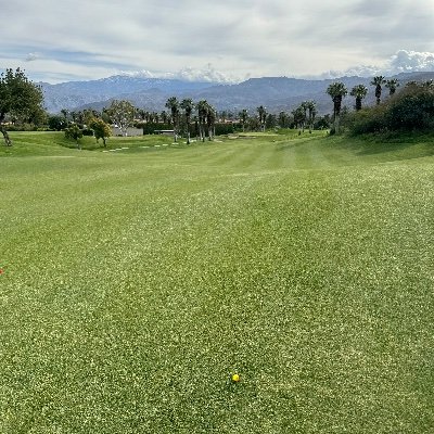 Chad Pohlmann Profile