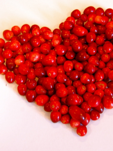 Cranberry Juliet