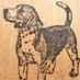 BDBEAGLE (@brianbeagl96043) Twitter profile photo BDBEAGLE (@brianbeagl96043) Twitter profile photo