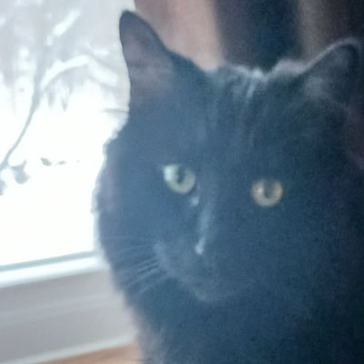 marietta_leslie's profile picture. FSD Republican