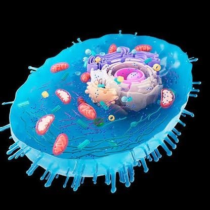 celulaeuca's profile picture. cordobés fascista