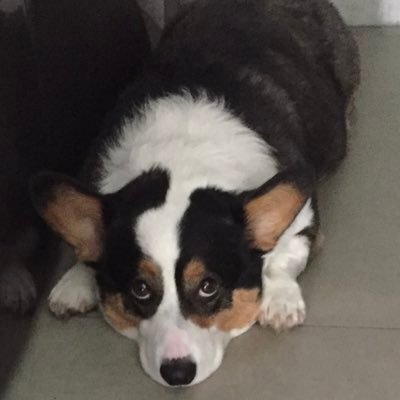 Yamazaki181's profile picture. Thinking is overrated, UnderstandingAndApplying your Thoughts are more Important