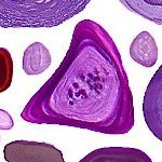 hopes_not_fears's profile picture. 