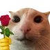 :D (@saladsplooger) Twitter profile photo :D (@saladsplooger) Twitter profile photo