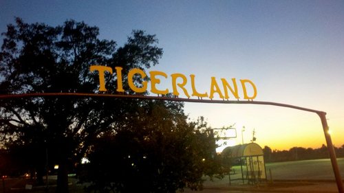 I miss when drunk texting was the main worry after a night out. Drunk snaps bring that morning after anxiety to a whole new level #LSU #Tigerland