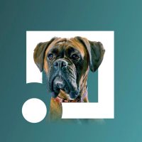 Moose The Dog (@clearscoremoose) 's Twitter Profile