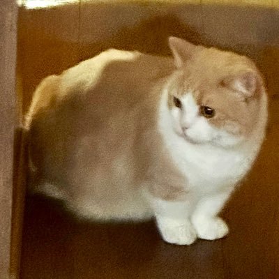 encouragingride's profile picture. 音楽（特に #パンク と #オルタナ、バンドでギターやってました🎸）・映画・ファッションが好きです。京都大学卒→都内の金融系IT企業に勤務しています。#日常垢