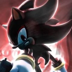 If the world chooses to become my enemy, I will fight like I always have! ~ Shadow the Hedgehog