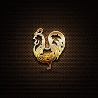 Golden Chicken(@newidea68) 's Twitter Profile Photo