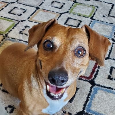 oldmanbraun Profile Picture