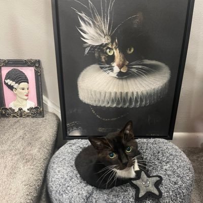 KatrinaHopeB's profile picture. 🪚iloveseviandsythi@yahoo.com. 🐸Clyde🐸Doakes 🐸Greenie🐸Daryl🐸Frank🐸Lundy 🐱Mosey