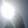 LawyerFees's profile picture. Music+Energy+Electricity+Vibrations+Hooper+Bird watcher+Thinking+Ideas+Creativness-Writing-Thoughts-Use Your Mind! Dont be a Robot! Be You! #LawyerFees