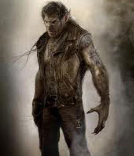 TheWolfRLSH's profile picture. Real life superhero in Baton Rouge Louisian