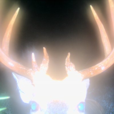 deergoths Profile Picture