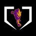 BHS Panther Baseball © (@bhspantherbsb) Twitter profile photo