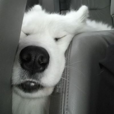 imyyubb's profile picture. 17-
me myself and I