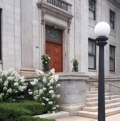 mammis_george's profile picture. leave the gun; take the
cannoli