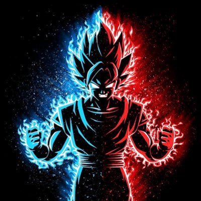 potaraSSGSS's profile picture. 