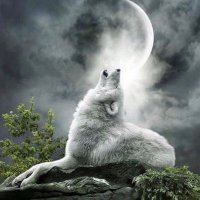 Luthien (@mogollonantonia) 's Twitter Profile
