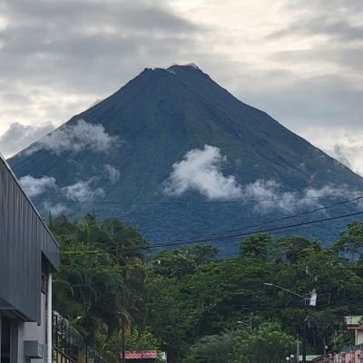 truthinvic's profile picture. Accountant by trade | political junky by night | realist | Bringing Truth Back to Our Domain | No Fine Print Here