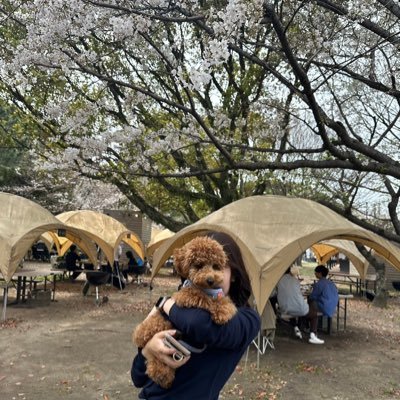 V0Hu2's profile picture. 自分磨き / 情報収集