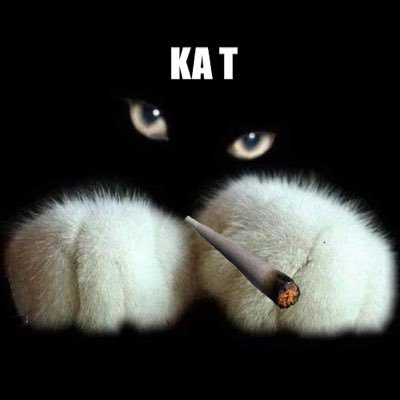 Kathe56Kat Profile Picture