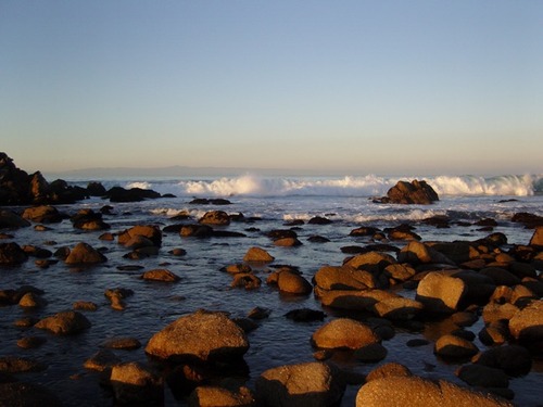 iggyloyolaz's profile picture. 