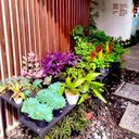 Marcellin - @Marcel_lin - Twitter