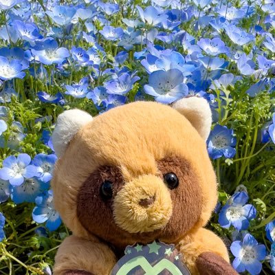 tanuki_eto13th Profile Picture