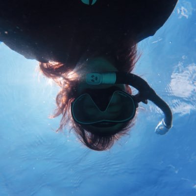 Enjoy the dive! Surviving between Maldives and Mediterranean sea.