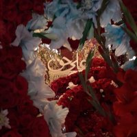 Maria Shamail (@maria_shamail) 's Twitter Profile