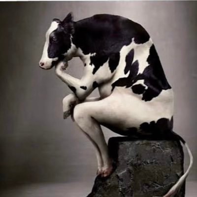 rafhieez's profile picture. 