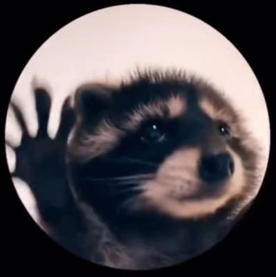 xgustavoalonsox's profile picture. 