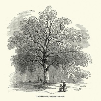 LeLibertyTree Profile Picture