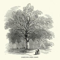 Le Liberty Tree 🇺🇸 (@lelibertytree) 's Twitter Profile Photo Le Liberty Tree 🇺🇸 (@lelibertytree) 's Twitter Profile Photo