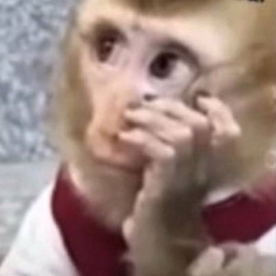 LockableRaptor's profile picture. 