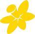 Our team runs cancer support and prevention programs as well as fundraising events for Cancer Council NSW. Our mission - cancer defeated