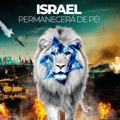 Rogeriofe2's profile picture. 