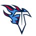 Titans Tribe (@TitansTribe) Twitter profile photo