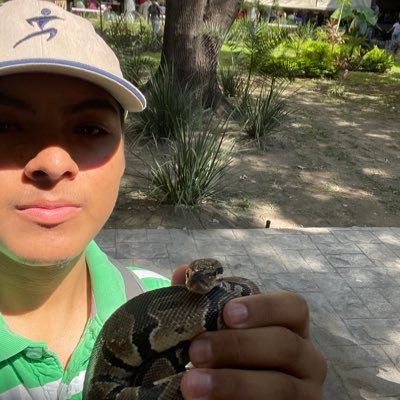 20 y/o Taxonomía de Annelida. Estudio en @biologiauanl
