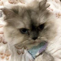 Deanna (@dytuckt) 's Twitter Profile