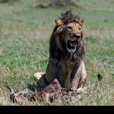 Scott_y_k's profile picture. 